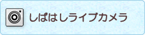 しばはしライブカメラ