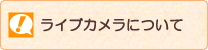 ライブカメラについて